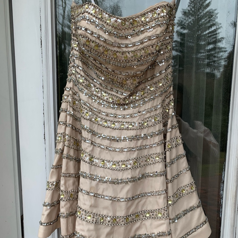 Terani Couture Dress